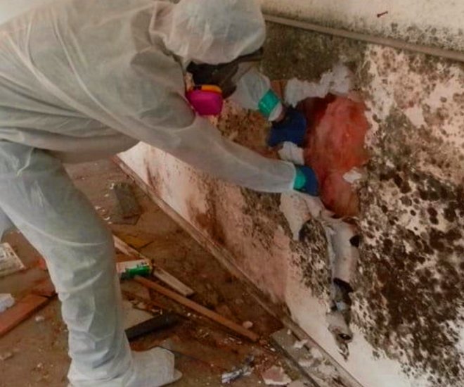 Mold-Mitigation-VS-Remediation