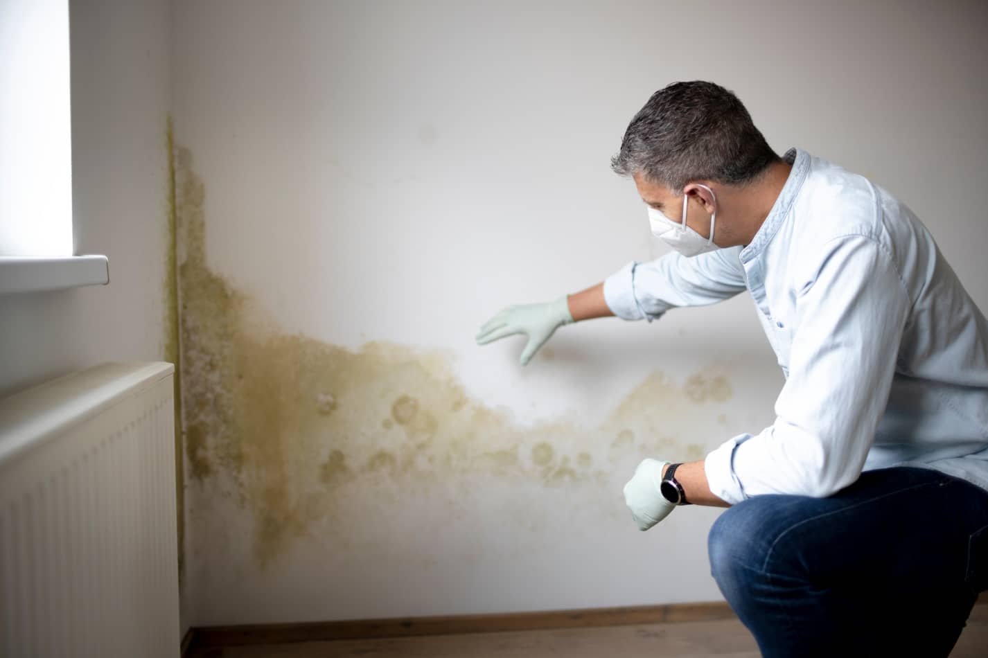 -mold-remediation.1