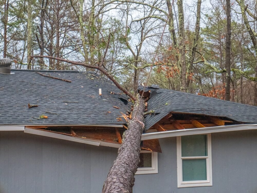 storm damage