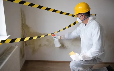 -mold-remediation